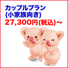 �J�b�v���v����(���Ƒ�����)27,300�~�`