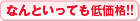 �Ȃ�Ƃ����Ă��ቿ�i�I�I